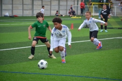 JND-Rouen-25-107 JND-Rouen-25-107